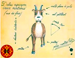 Picture of the legendary wolpertinger or Lou Dahu in occitan language
